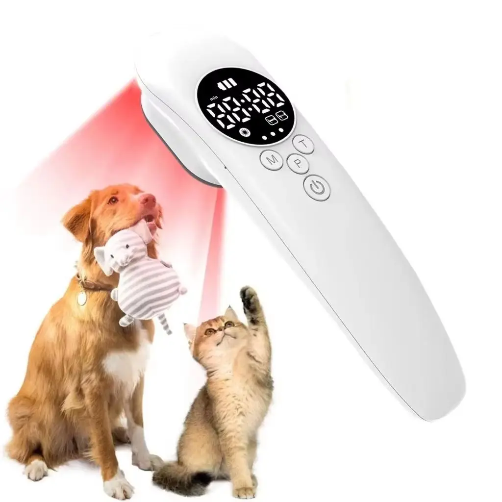 

HLKGO Clinic Veterinary Use Advanced Cold Laser Therapy Device for Animals Pets Dogs Cat Horse Wound Healing Pain Relief