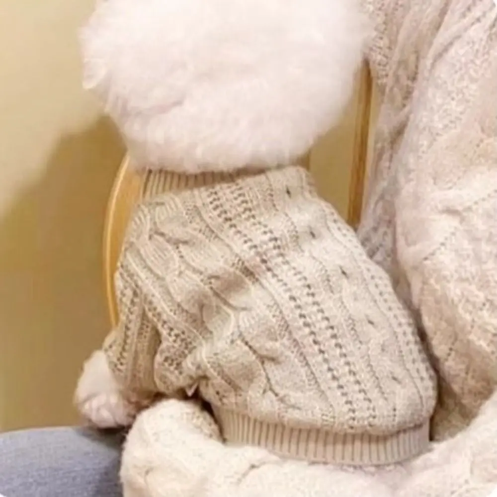 Outfits Solid Color Dog Sweater Two-legged Simple Style Winter Pet Coat Knitted Fashion Puppy Clothing for Small Dog