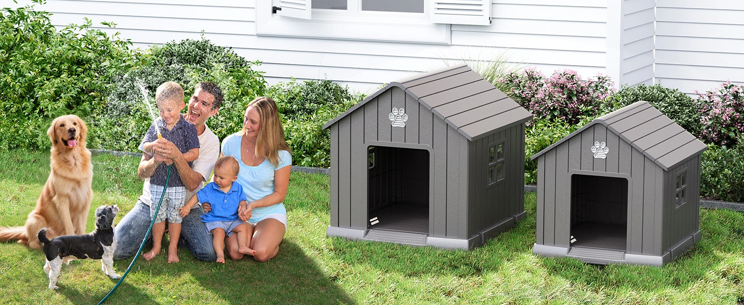 dog house
