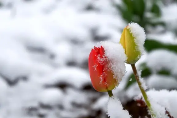 

This item is no longer available for purchase.