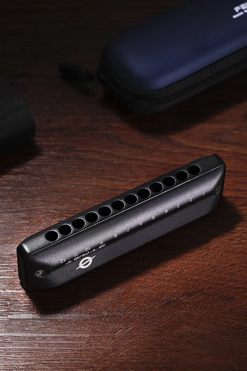 2025 هارمونيكا دياتونيك 12 فتحة بريميوم بلوز هارمونيكا للمبتدئين والأطفال