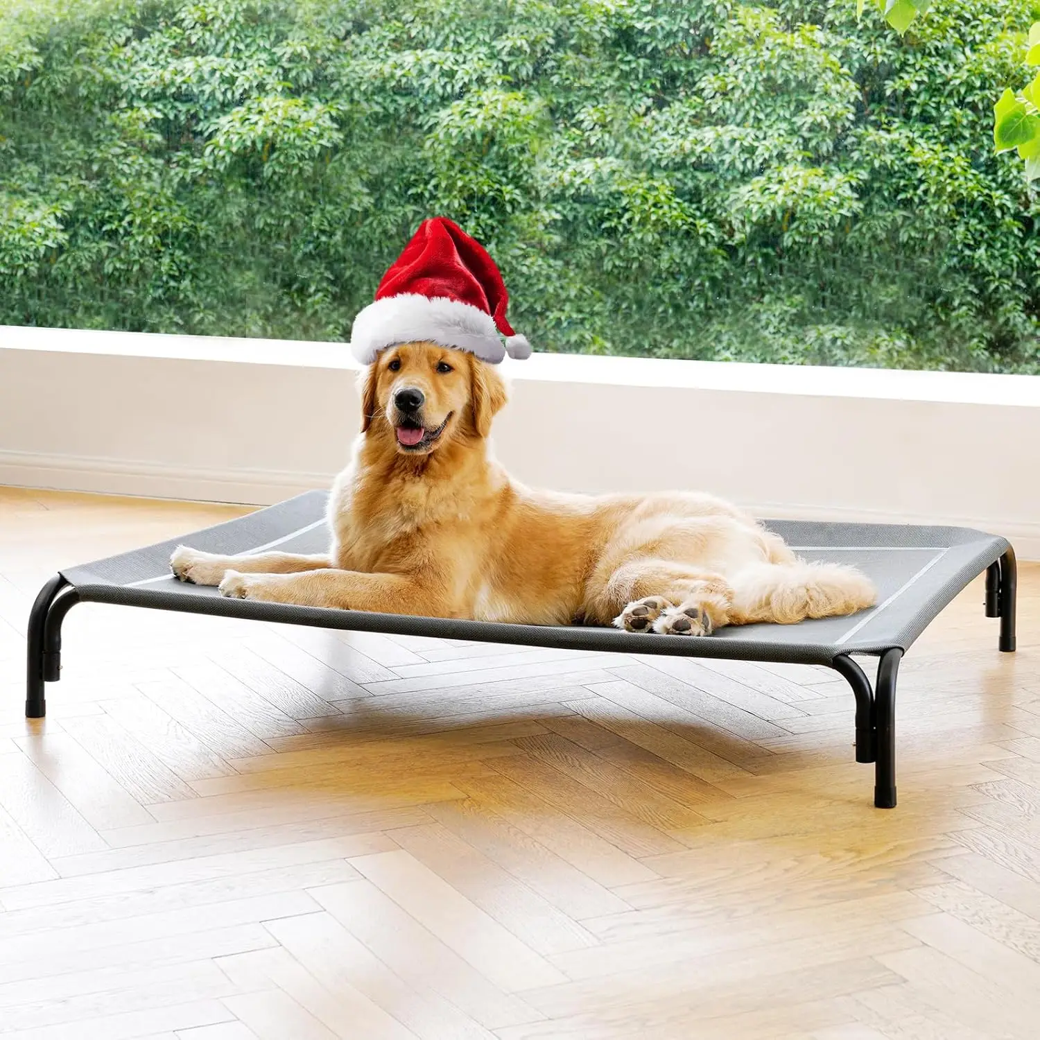 

Elevated Dog Bed for Extra Large Dogs, No Tools Installation, Washable Cooling Mesh, Anti-Slip Feet, Grey, 48.8 Inches