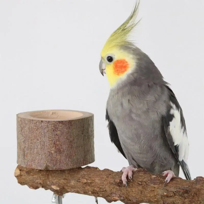 

X6HC Bird Perch Stand Birdcage Stands With Parrot Playstand Parrot Stand