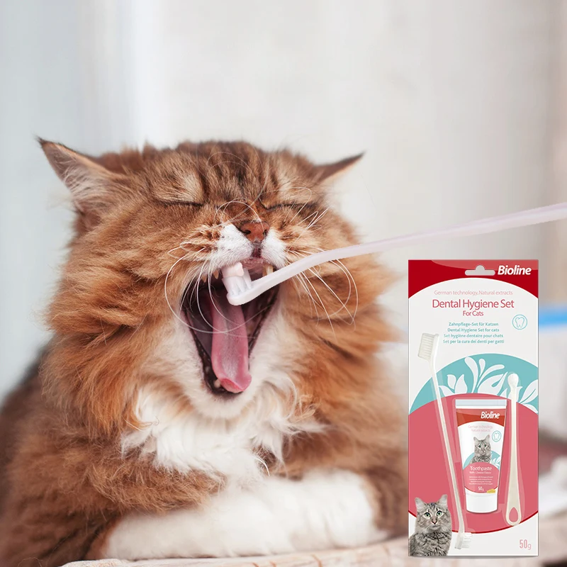 

Bioline Pet Toothbrush Toothpaste Set Pet Cleaning Tools Kit 50g Remove Tartar Clean Teeth Freshen Breath Reduce Plaque for Pet