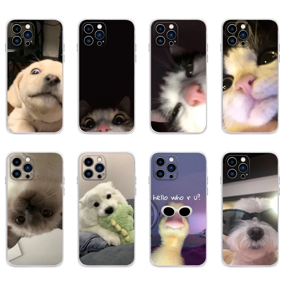 

Funny Cute Cat Dog Phone Case For IPhone 15,14,13,11,12 Pro Max Mini X XR XS 7,8 Plus SE Transparent Cover