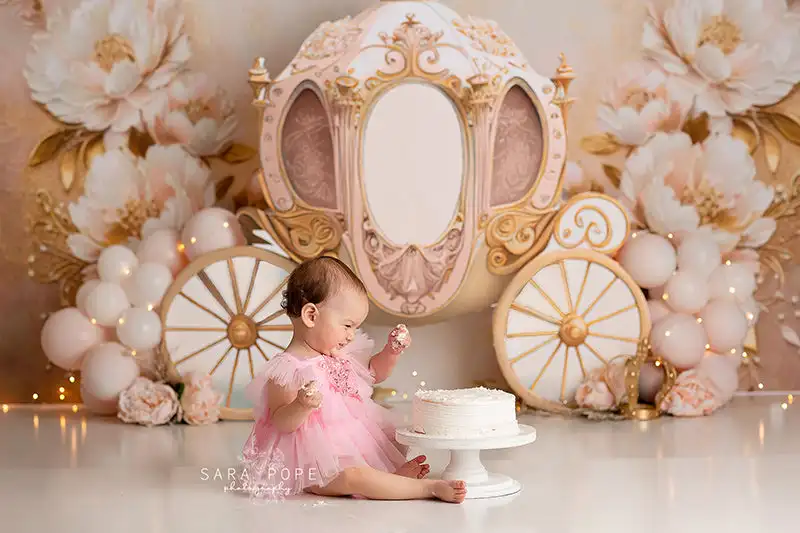 Pretty Princess Carriage Backdrop Kids Baby Cake Smash Photography Props Child Girls Adult Birthday Party Studio Backgrounds