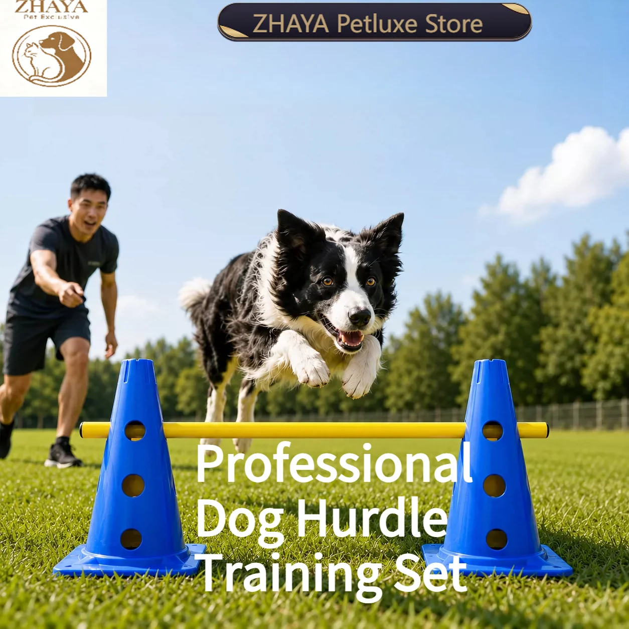 Agility Hurdle Set - ZHAYA Dog Agility Training Set with