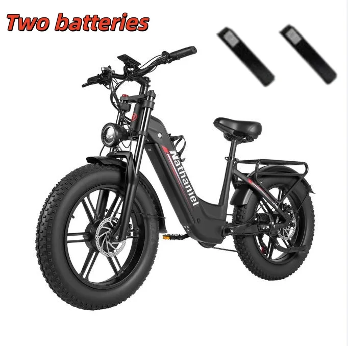 Nathaniel SYR08 Electric Bicycle 2000W Motor 48V 40Ah Battery electric bike 50km/h 20 Inch Tire off road riding mountian E-Bike image 3