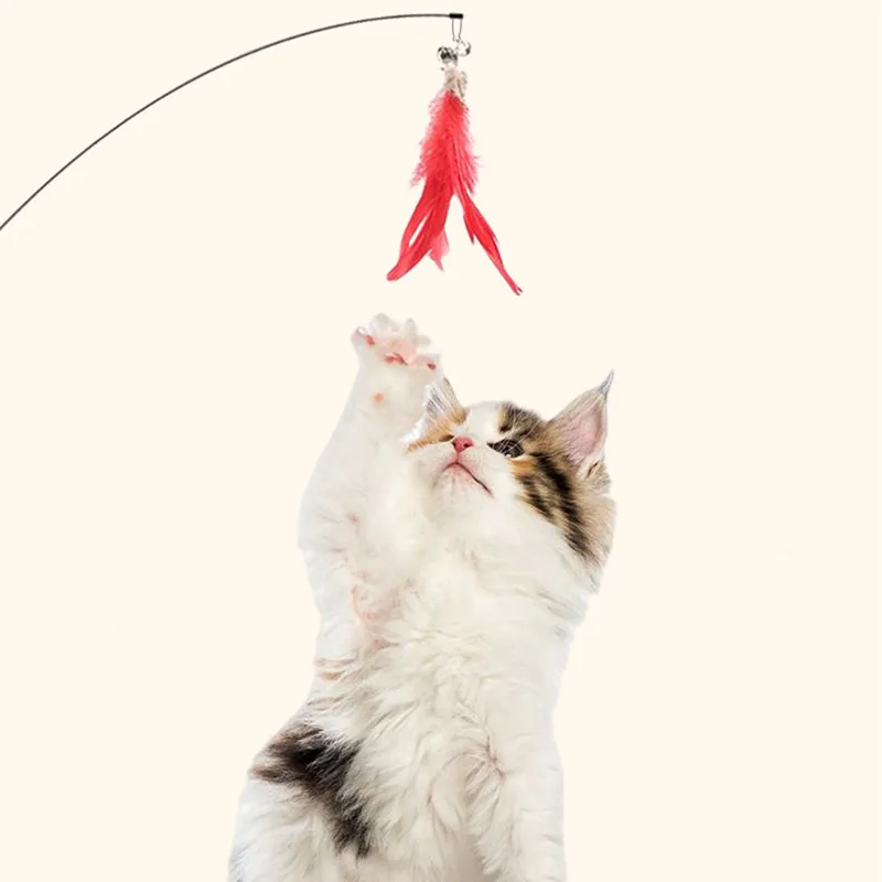 Cat Toy Cat Toys Interactive with Sucker Feather Toys for Cats Tease Sucker Stainless Steel Wire Cats Toy with Bell Pet Products