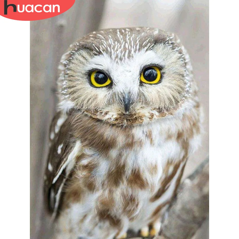 

HUACAN 5D Diamond Painting Owl Birds Full Drill Resin Pictures Of Rhinestones Decor Home DIY Mosaic Diamond Embroidery Animals