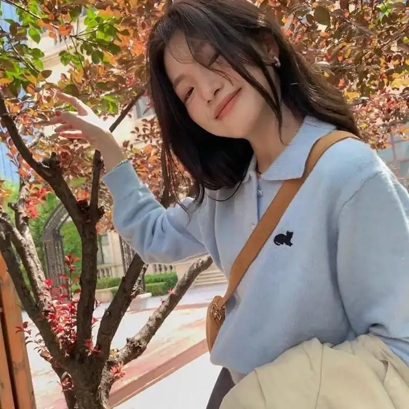 Frau Outdoor Top Kleidung Herbst Klassische Freizeit Täglich Strickwaren Pullover Neue Süße Nette Frische Kawaii Vielseitig Kurze Pendeln