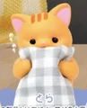 orange tabby