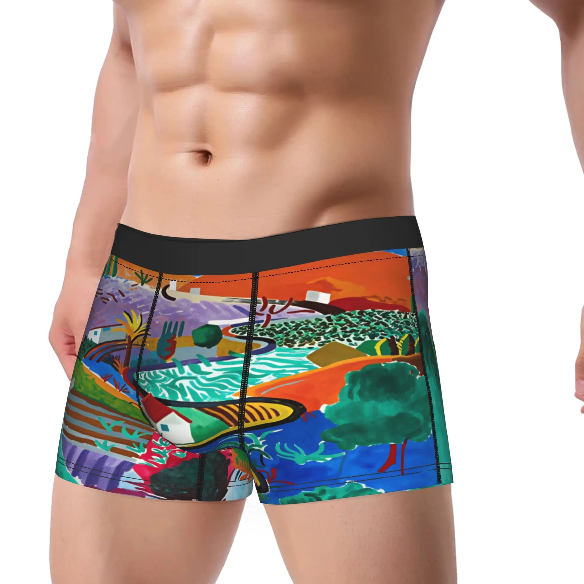 David Hockney Vintage VL14 Poster Shorts Briefs  Underwear Trenky Men's Comfortable Boxershorts Custom Plus Size Underpants