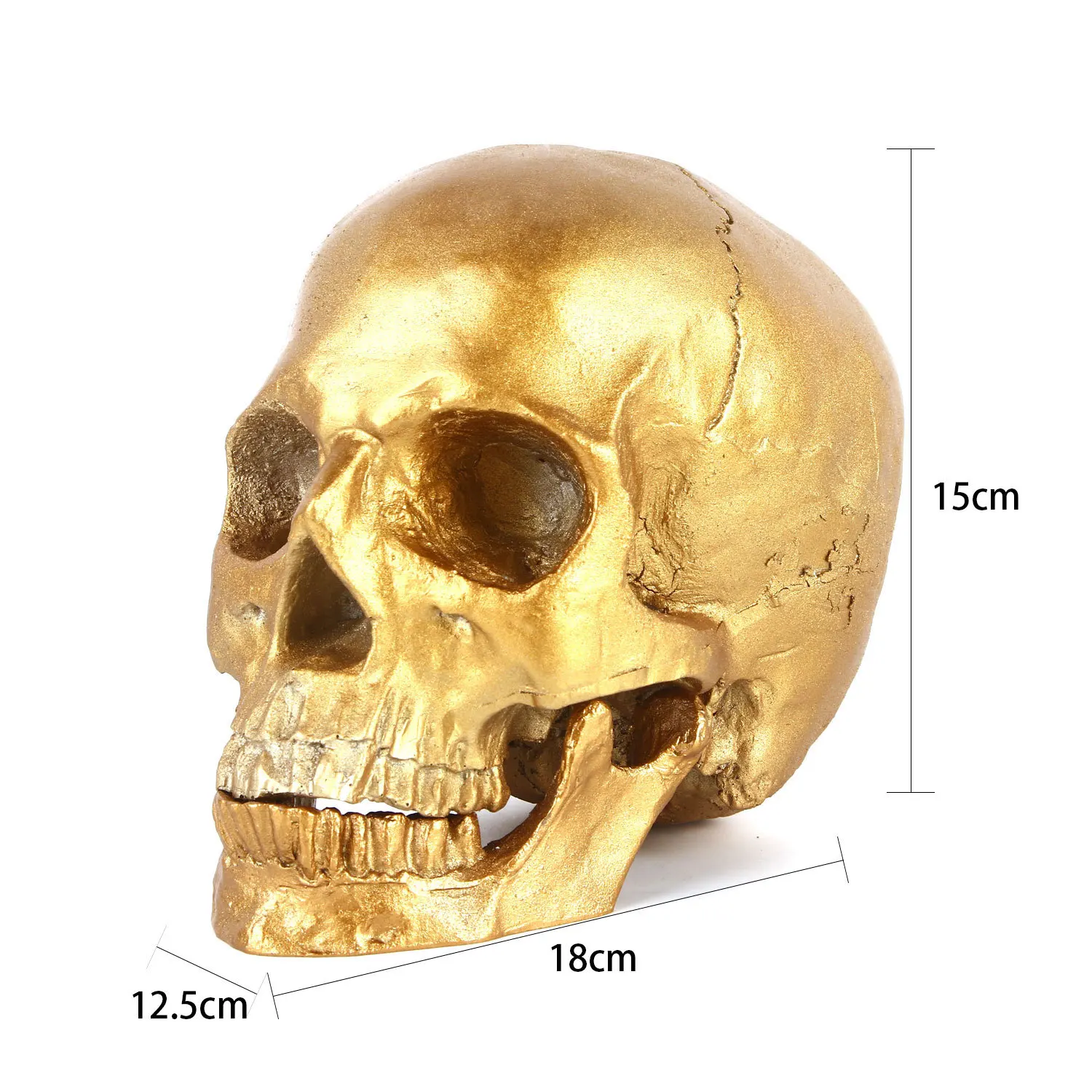 Golden Human Head Skull Model Resin Skull Decoration Statue Home Room Decoration Skull Sculpture Halloween Decoration Figurine