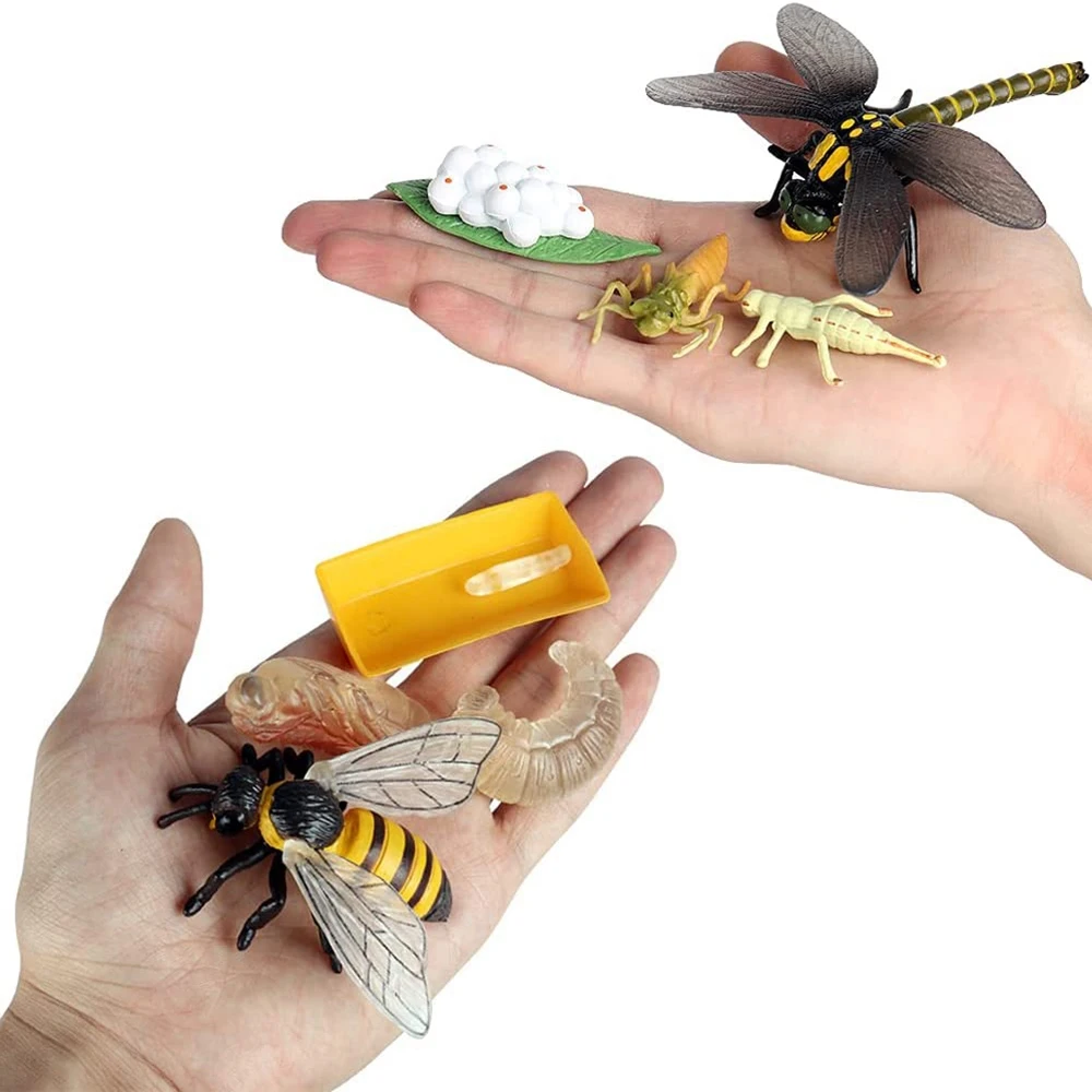 Life Cycle Figurines of Butterfly Spider Bee Ladybug Dragonfly, Plastic Insect Bug Figures Toy, School Project for Kids