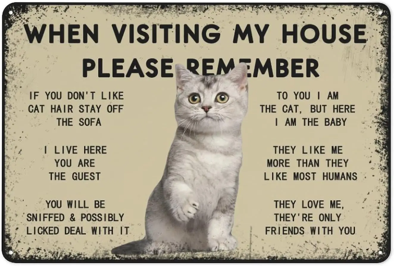 Funny Cute Cat Plaque Rustic Metal Sign- When Visiting My House Please Remember - Metal Wall Plaque - Kitty Entrance Sign - sign