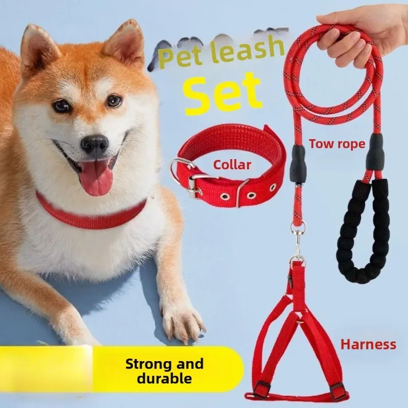 الياقات الصلبة طوق الكلب النايلون للكلاب الصغيرة والمتوسطة والكبيرة تيدي كيجي بيتبول بولدوج بيغل #3