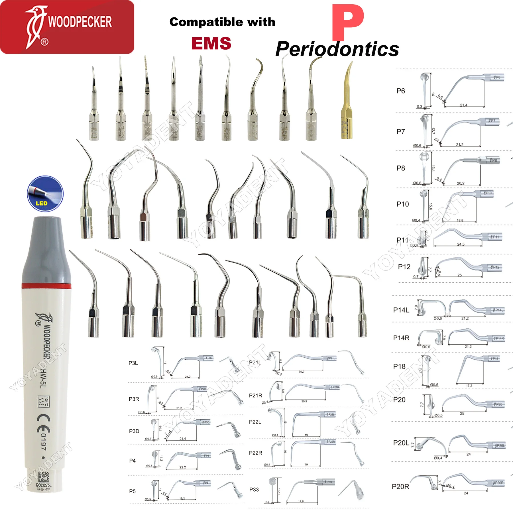 

Woodpecker Dental Scaler Tips Ultrasonic Scaler Handpiece HW-5L Periodontics Tips Fit EMS Dentistry Tools