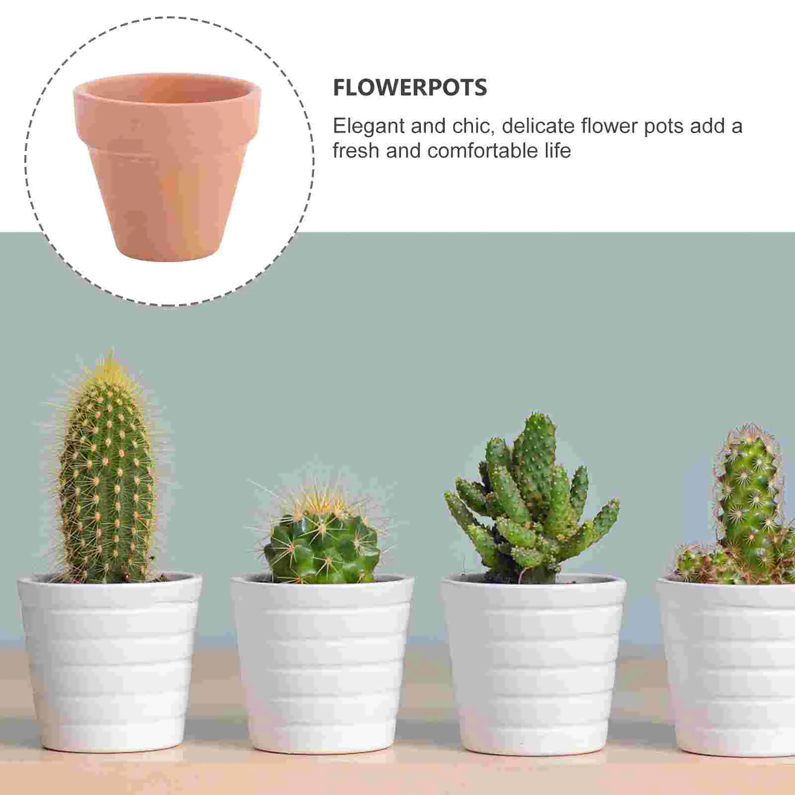 10 Pcs Small Plant Pots Terracotta Flower Succulent Plants Wedding Decor Ceramics Vase Mini