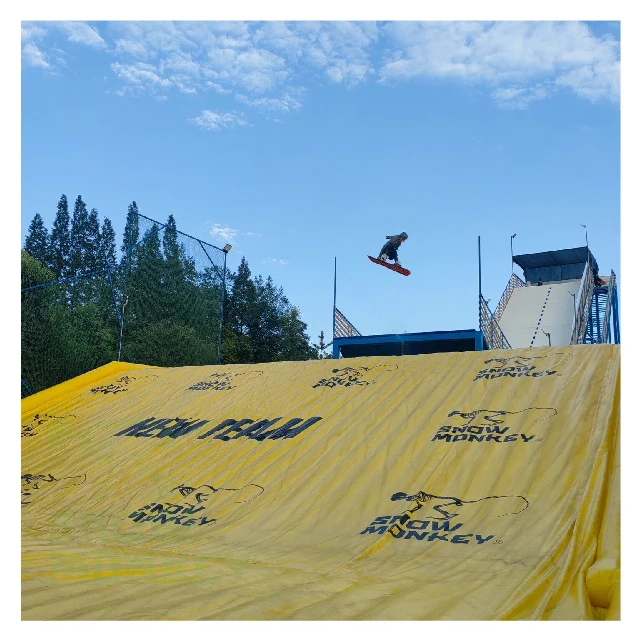 SNOW MONKEY Artificial Snow Indoor and Outdoor Dry Ski for Practicing Big air