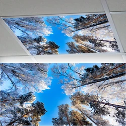 15 Styles 3D Beautiful Winter Forest Scenery Wall Sticker For The Ceiling Bedroom Livingroom Wallpaper Peel & Stick Wall Decals