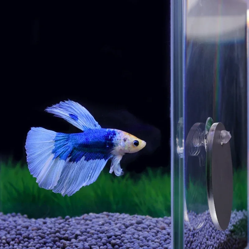 Fish Exercise Mirror Promotes Natural Territorial Behaviors 5/6/7cm for Aquarium Betta Fish Toy Mirrior Reduces Boredom