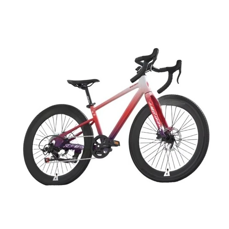 

China Factory Cheap and Good Quality Mountain Bicycle 20/22 /24/26 Inch Adult Bike Student Bicyclecustom