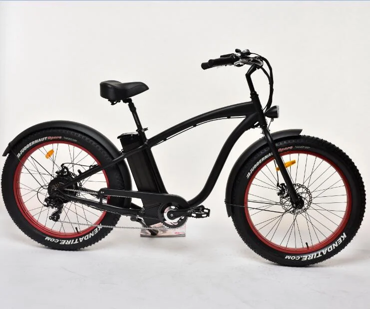 Ristar New Design Fat Wheel E Bike Powerful Electric Bike Big Capacity Fat Tire E Bicycle With Integrated Rear Rack