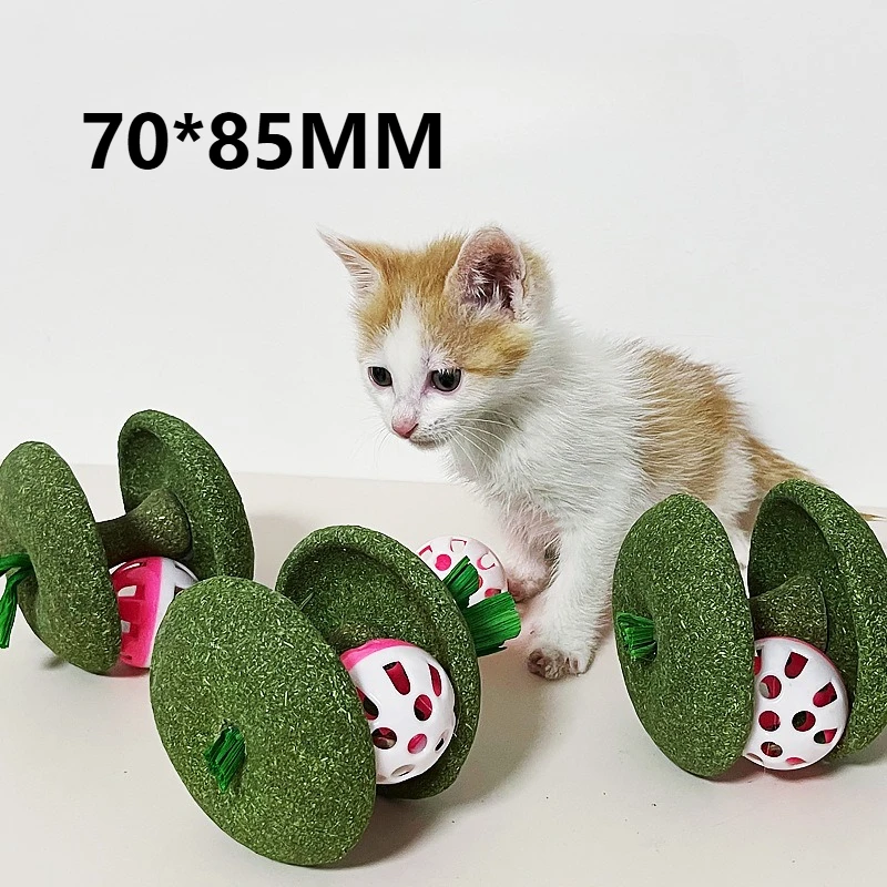Natural Catnip Dental Ball Toy 3