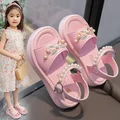 DDT  A25Pink