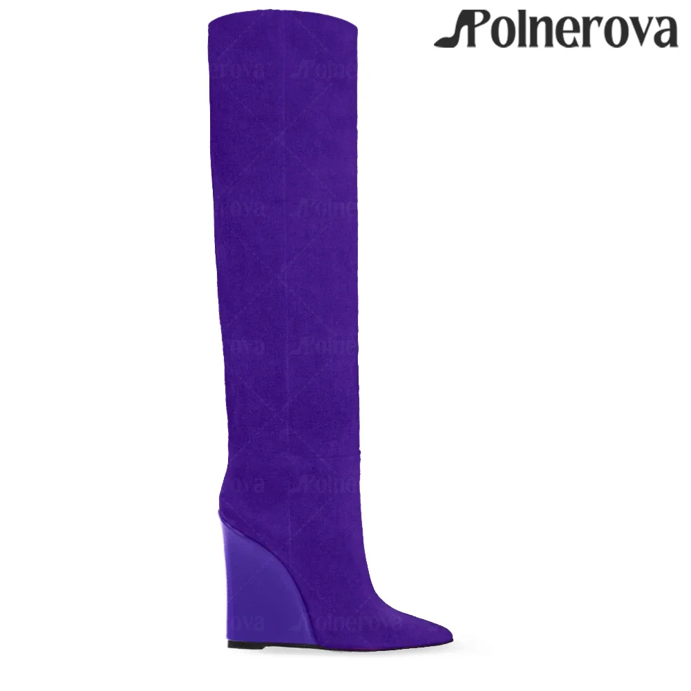 

Женские зимние теплые сапоги на танкетке с острым носком, из замши и лакированной кожи, с окрашенной отделкой, модный стиль