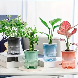 Flower hidropónica perezosa Pot automática Agua de flores que absorbe el agua transparente doble capa plástica 8 mejores ventas lindo bote - №1