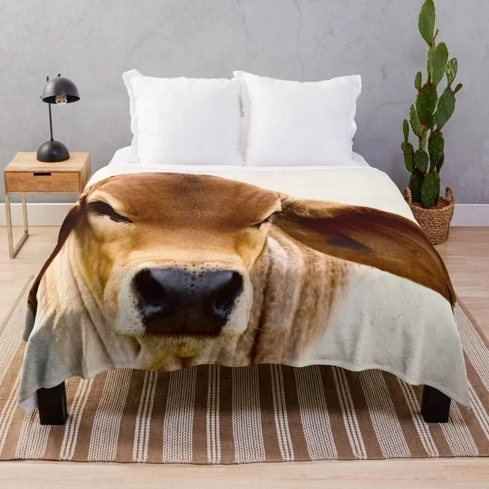 BRAHMAN CALF, PORTRAIT Throw Blanket Flannels Winter beds Luxury St Blankets