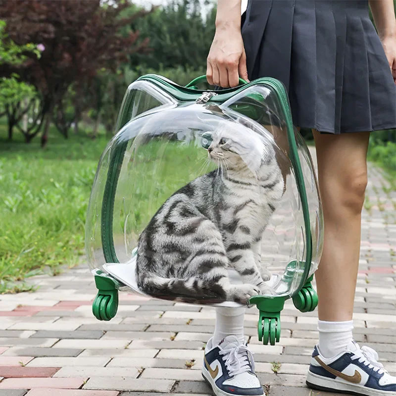 

High Appearance Cat Basket Creative Transparent Pet Transport Case Telescopic Rod Pet Trolley Versatile Scene Space Capsule