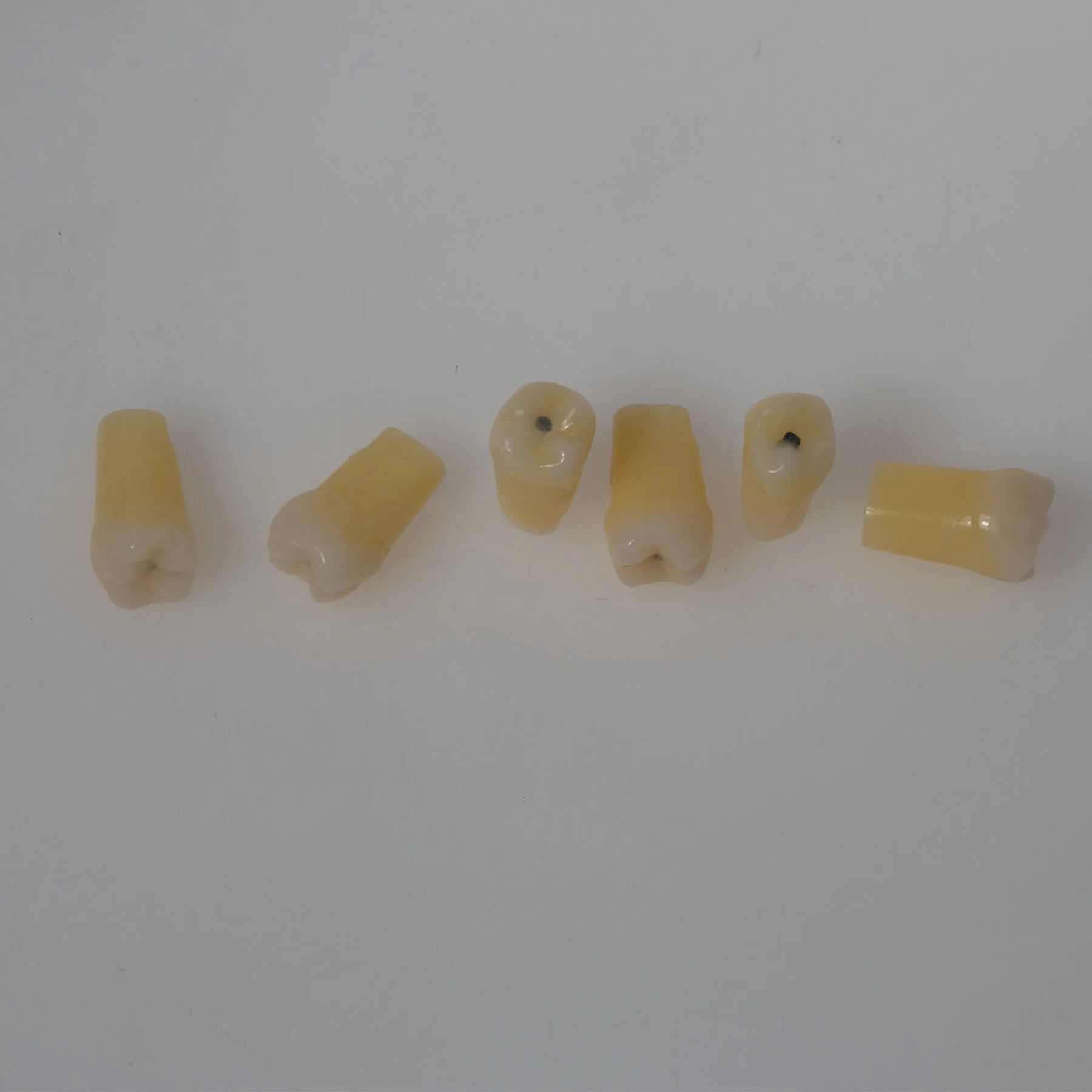 

M8024-1 28Pcs Screw-in Caries Teeth Model Dental Preparation Exercise Decay Cavity Tooth Model For Dentist Training Practice