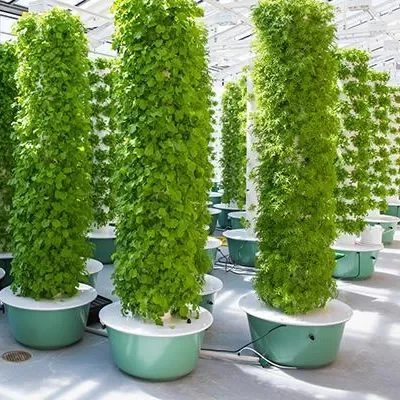 Aeroponics Towers Garden Systems With Lights 60 Plants Aeroponic Vertical System Culture Vertical Tower Hydroponic System