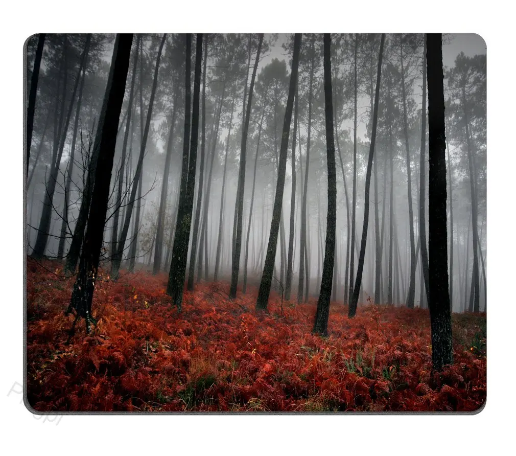 High Quality Beautiful Scenery Printing Lock Edge Gaming Mousepad Gamer Mouse Mat Keyboard Mats Desk Pad Mousepads 30x25cm