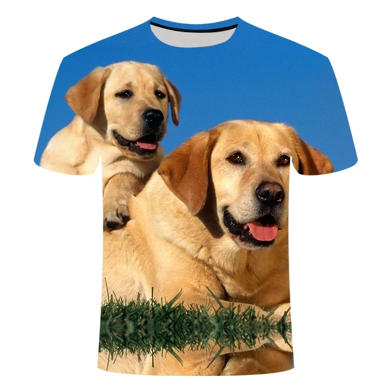 New 3d Printed Cute Animal Pet Dog T-shirt Labrador Retriever Men's Children's Short Sleeve Breathable Lightweight Fitness Top