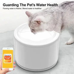 2L Tuya Wifi Smart Pet Water Fountain con bevitore automatico sterilizzante Uv per gatti Pet Water Fountain Motor Cats o Puppy