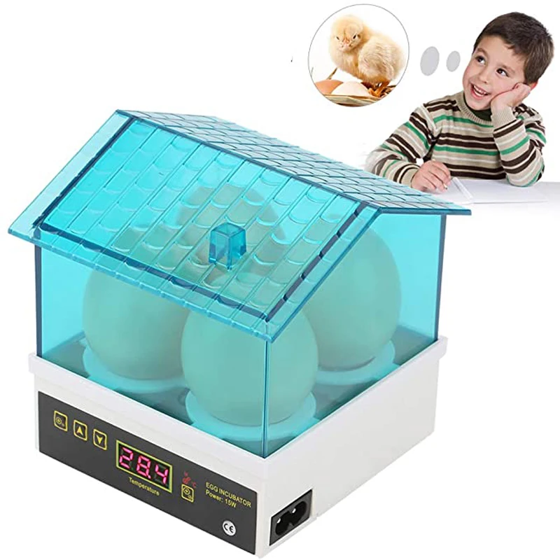 

4pcs Egg Inccubator Hatchery Mini Digital Temperature Brooder Farm Brooder Quail Egg Hatcher Incubator Equipment Children Gift