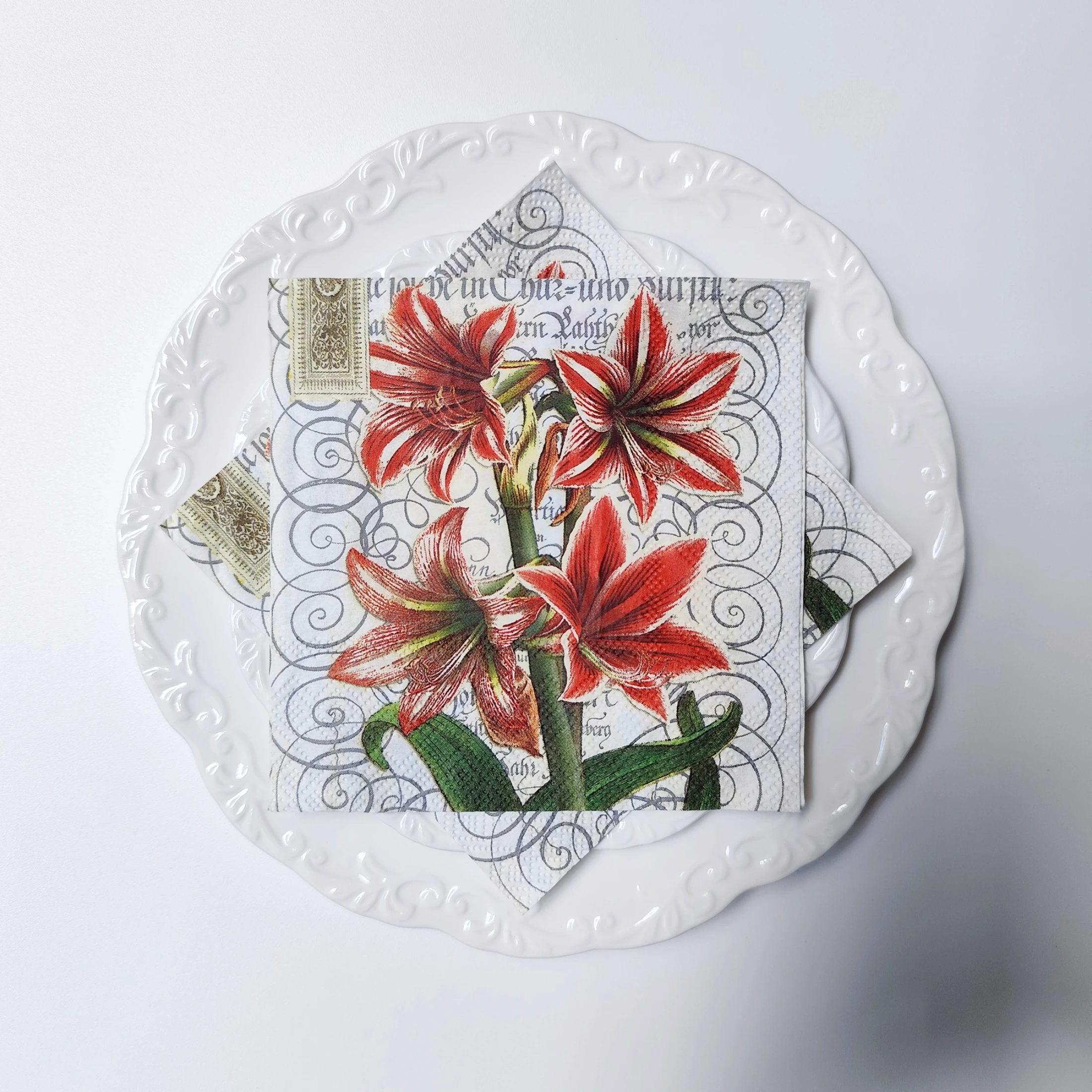 20 Count Vintage Amaryllis Plants & Scroll Patterns Printed Cocktail Napkins, Table Decors for Afternoon Tea & Picnics, Crafts