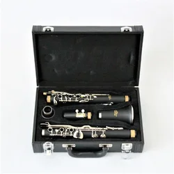 Useful Hot Sale High End Turkish Clarinet with Good Quality Clarinet Case Fast Delivery G Clarinet