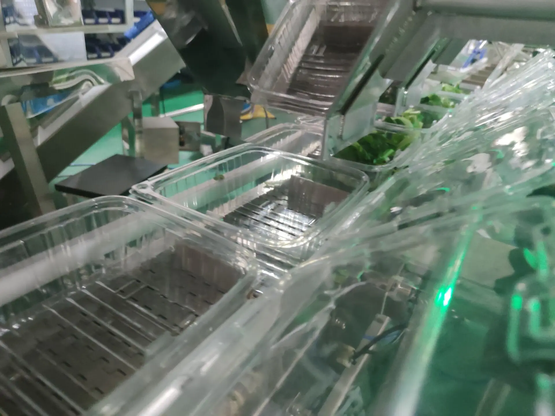 Fully automatic multihead weigher 500g lettuce tray packing machine