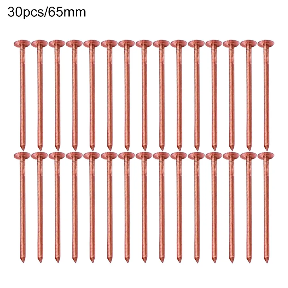 Effective Root Elimination Copper Tree Stump Killer Fast Acting Solution Large Sizes Available Non-Disturbing Method
