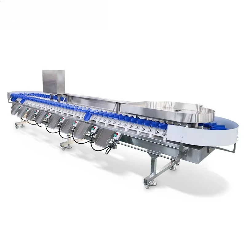 Custom Electronic Weigher Conveyor Belt Scale Potato Grading Dragon Fruit apple Avocado Orange Weight Sorting Machine