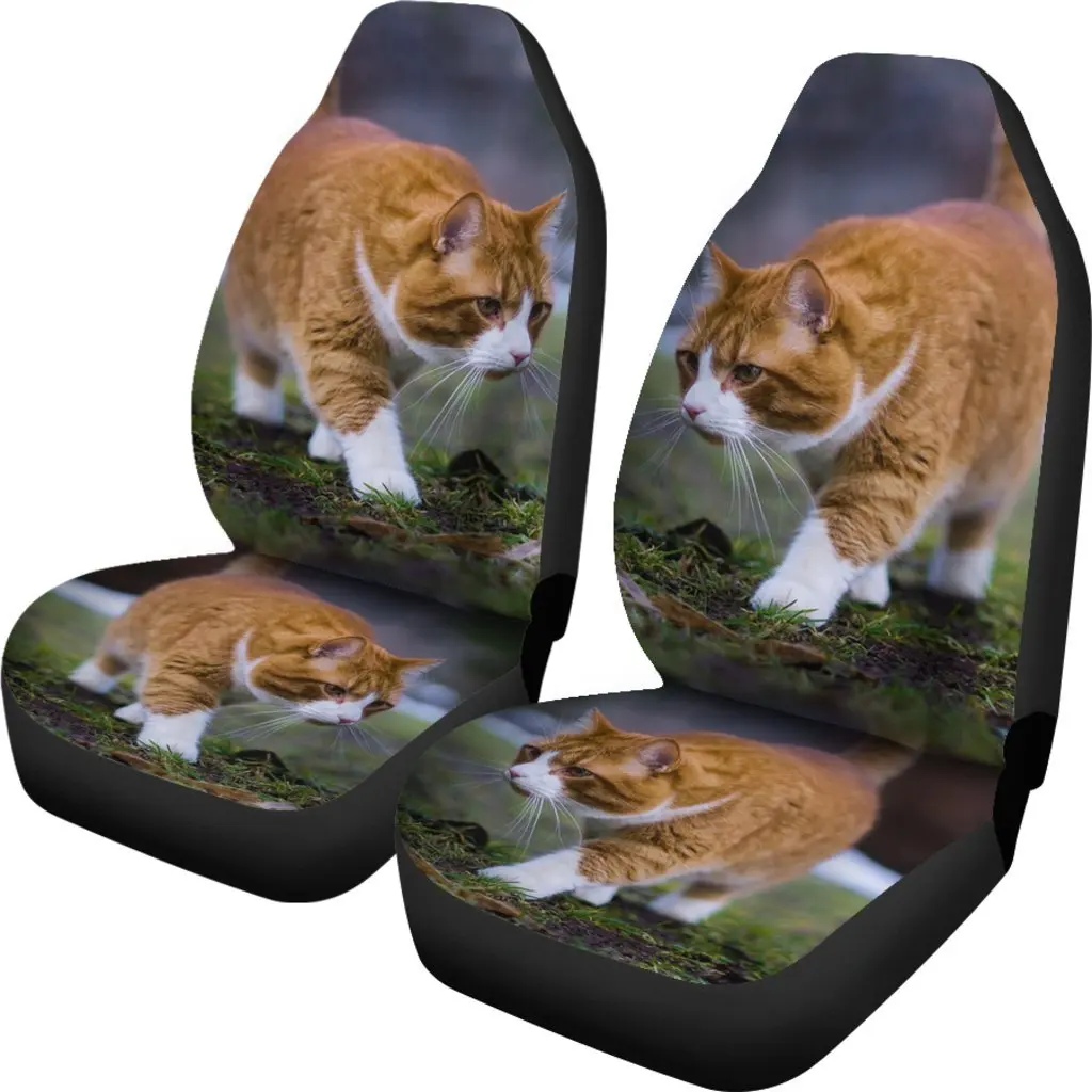 Cute Siberian Cat Print Car Seat Covers Set 2 Pc, Car Accessories Seat Cover