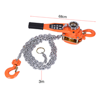 Orange Color 3t/3000kg Chain Block Hoist Ratchet Hoist Ratchet Lever Pulley Lifting 3meters
