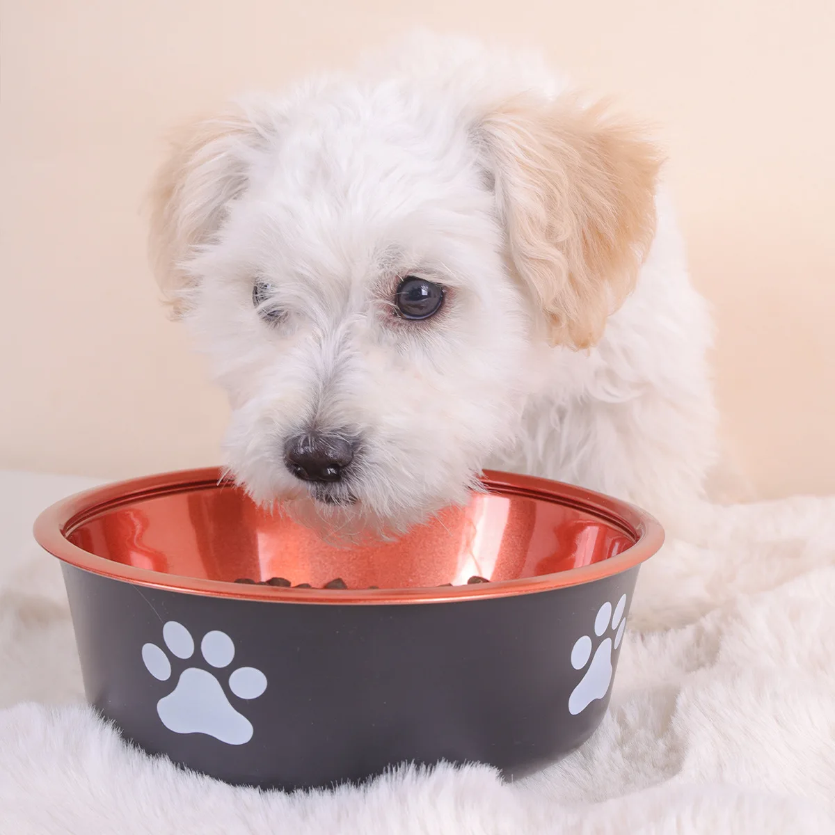 Pet Cat Feeding Bowl Stainless Steel Plastic Non-slip Single Bowl Food Drinking Tray Feeder Drop-resistant Durable Pet Dog Bowl