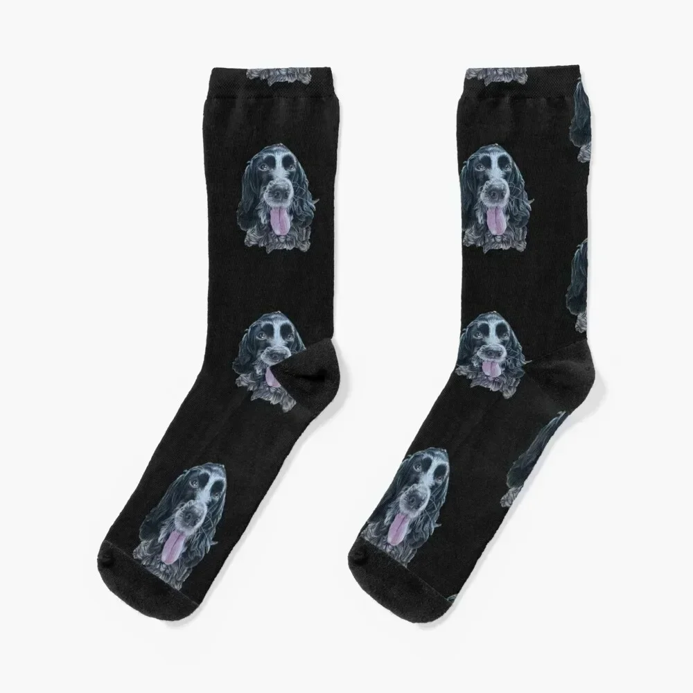 

blue roan Cocker Spaniel Socks tennis football funny gift Socks Women's Men's