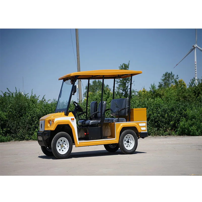 Holiday high-top electric golf cart Multi-function 6-person electric sightseeing golf cart